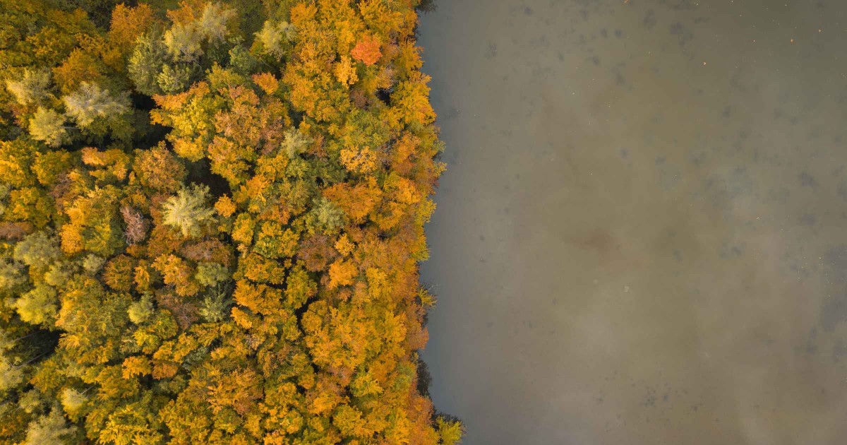 Herbst St. Jakob © TVB Puch